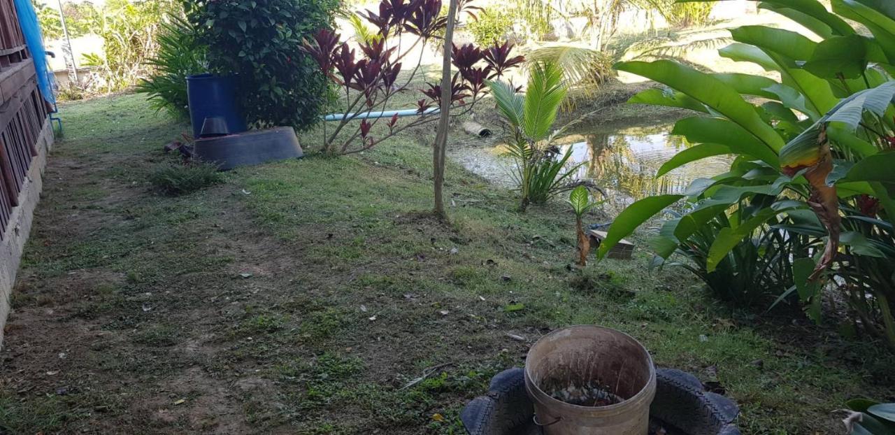 Ban Chang Klang Na Nong ap Chang Eksteriør billede